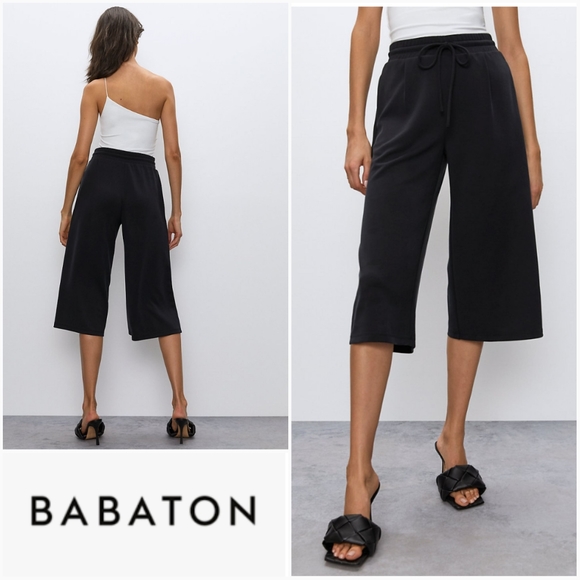 Aritzia Pants - BABATON Luiz Pant Black Size L Large